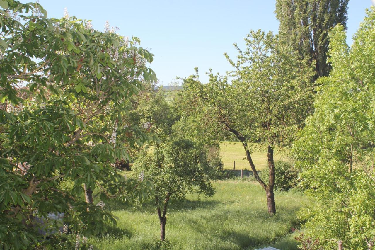 Fewo Am Schlossberg Neusitz  Εξωτερικό φωτογραφία
